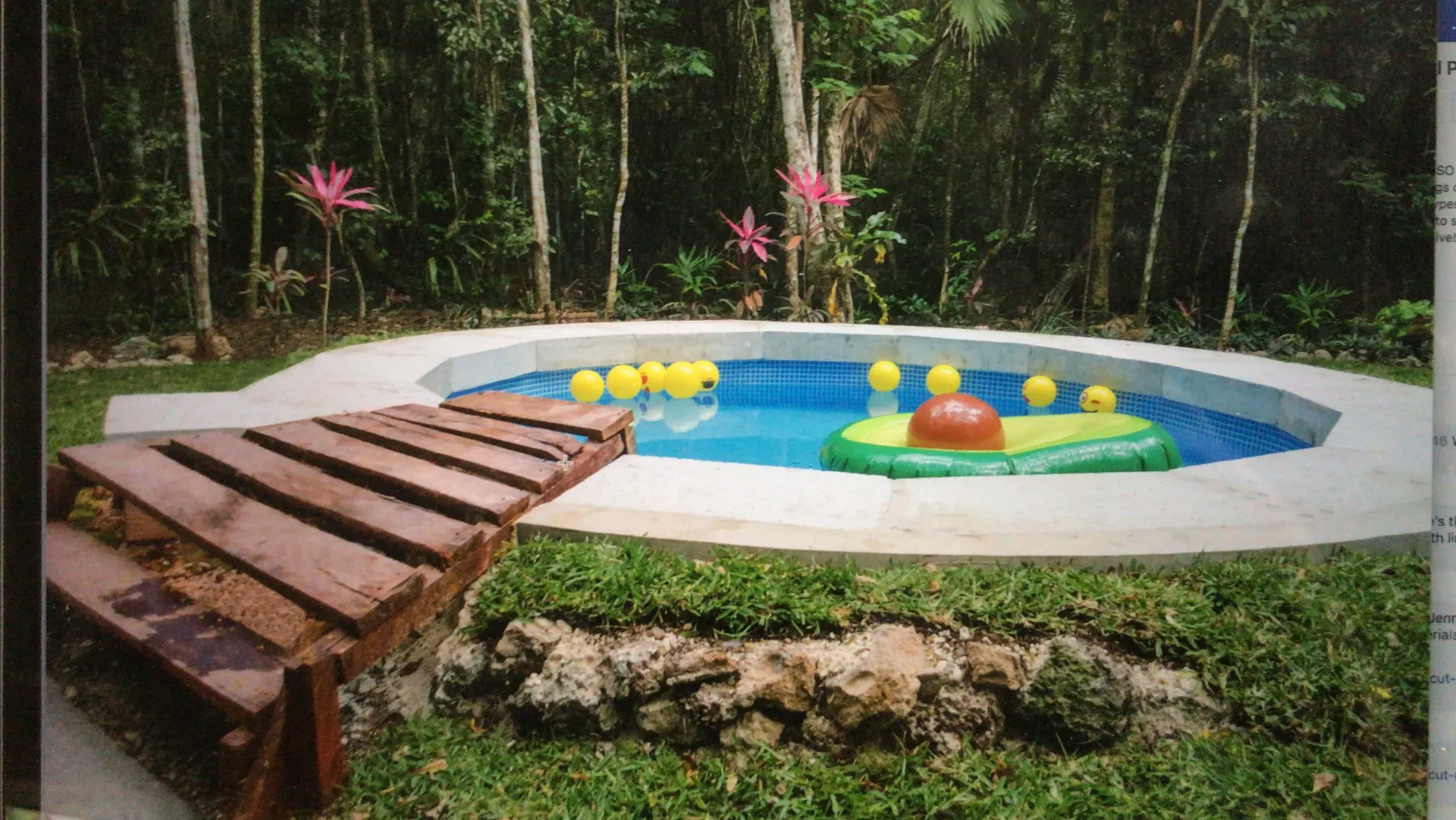 Pool surrounded by trees, featuring a wooden walkway, floating inflatables, and yellow duck toys.