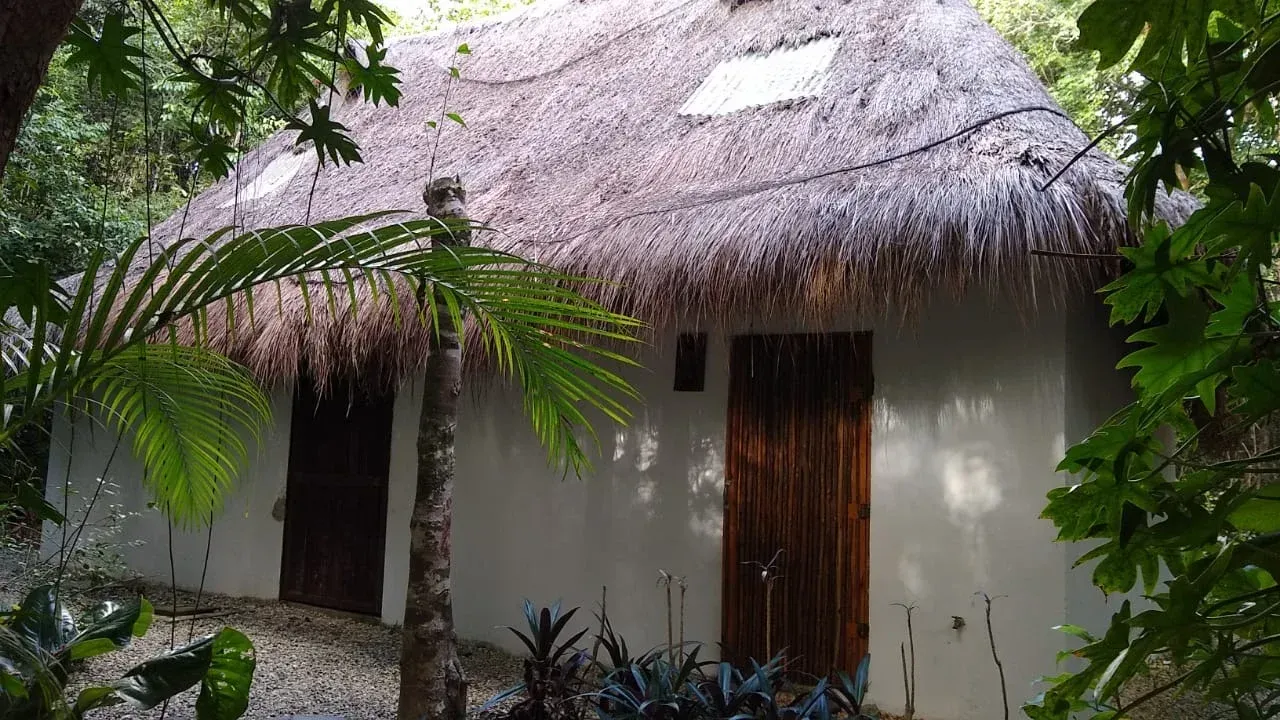White stucco hut with thatched roof, set in lush green jungle, with wooden doors.