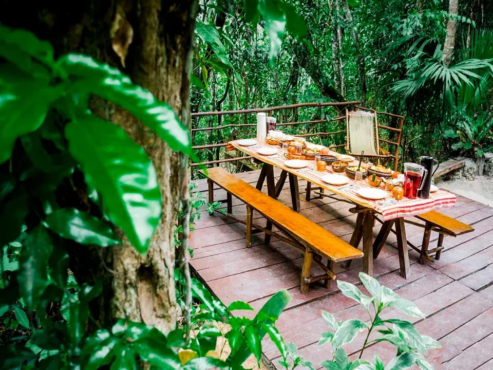 Mesa larga de madera dispuesta para comer en un entorno de jungla verde y exuberante con bancos.