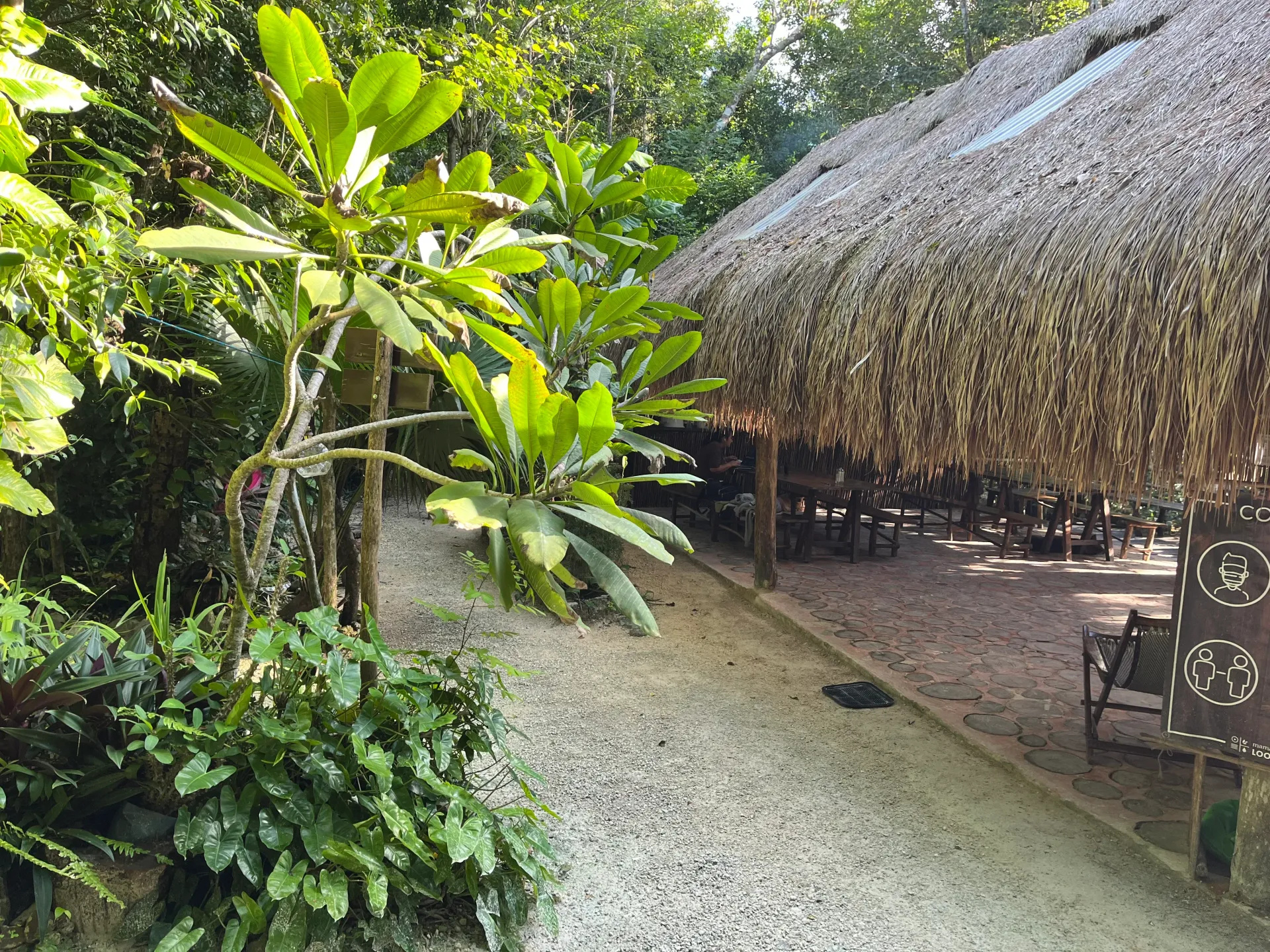 A thatched roof restaurant with gravel pathway surrounded by lush green plants.