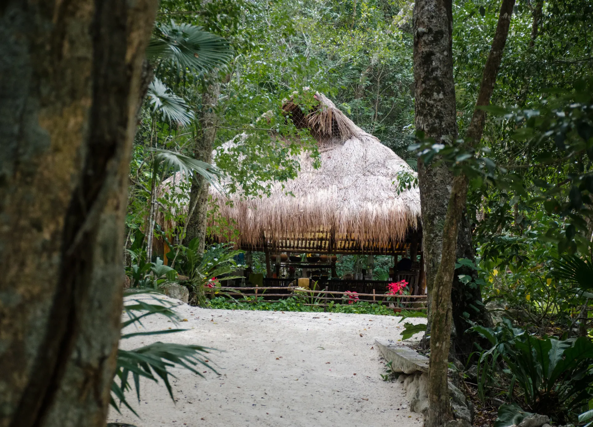 A thatch-roofed hut on a sandy path, framed by trees and lush green foliage.