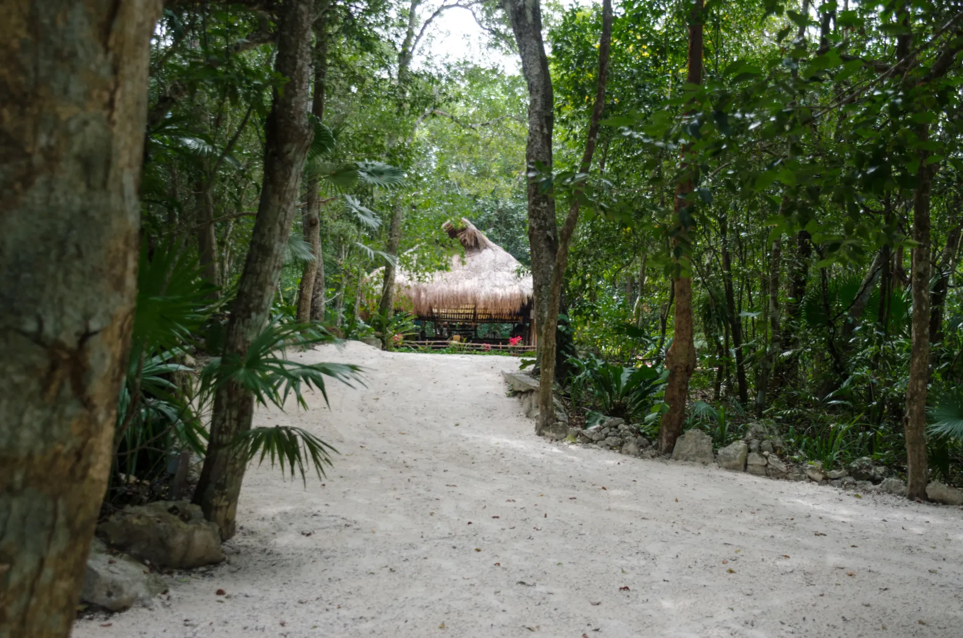 Sandy path leads to a thatch-roofed structure surrounded by trees in a lush, green environment.