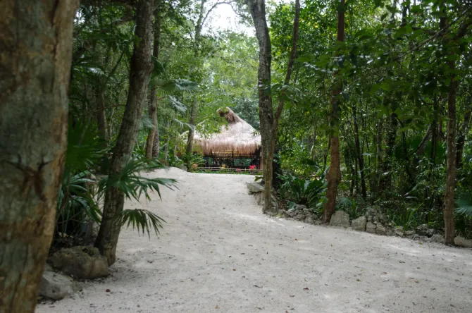 Un camino de arena conduce a una cabaña con techo de paja en un exuberante bosque verde.