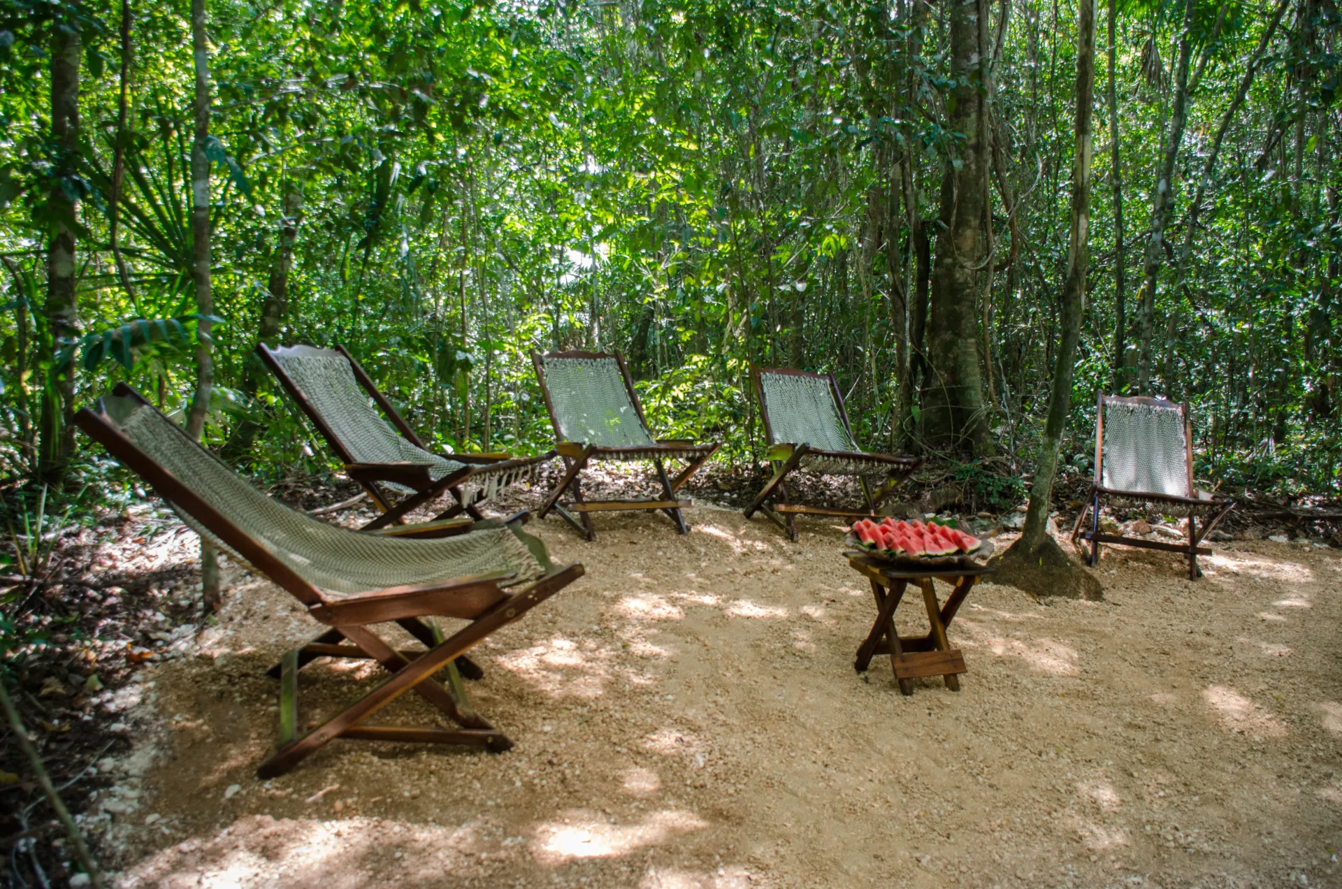 Cuatro sillas en una zona arenosa del bosque. Una mesa pequeña contiene fruta. La luz del sol se filtra entre los árboles.