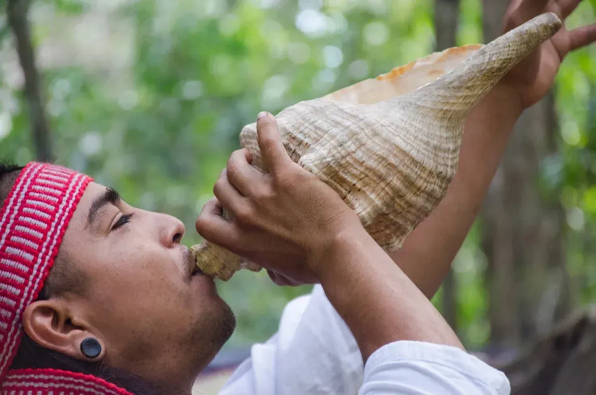 Hombre soplando en una gran caracola, al aire libre, con una diadema roja.
