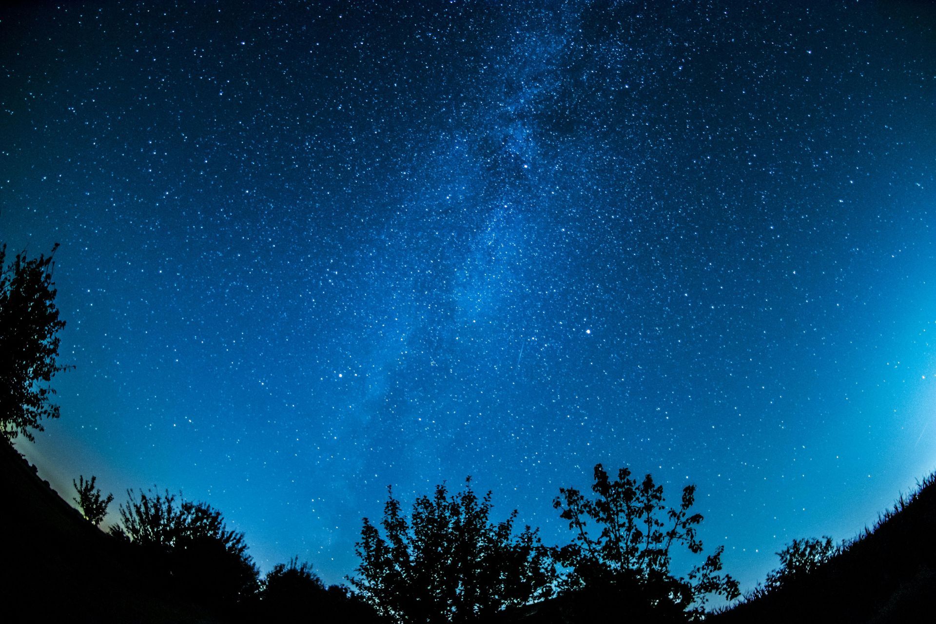 Cielo nocturno salpicado de estrellas, incluida la Vía Láctea, sobre árboles recortados en la ladera de una colina.