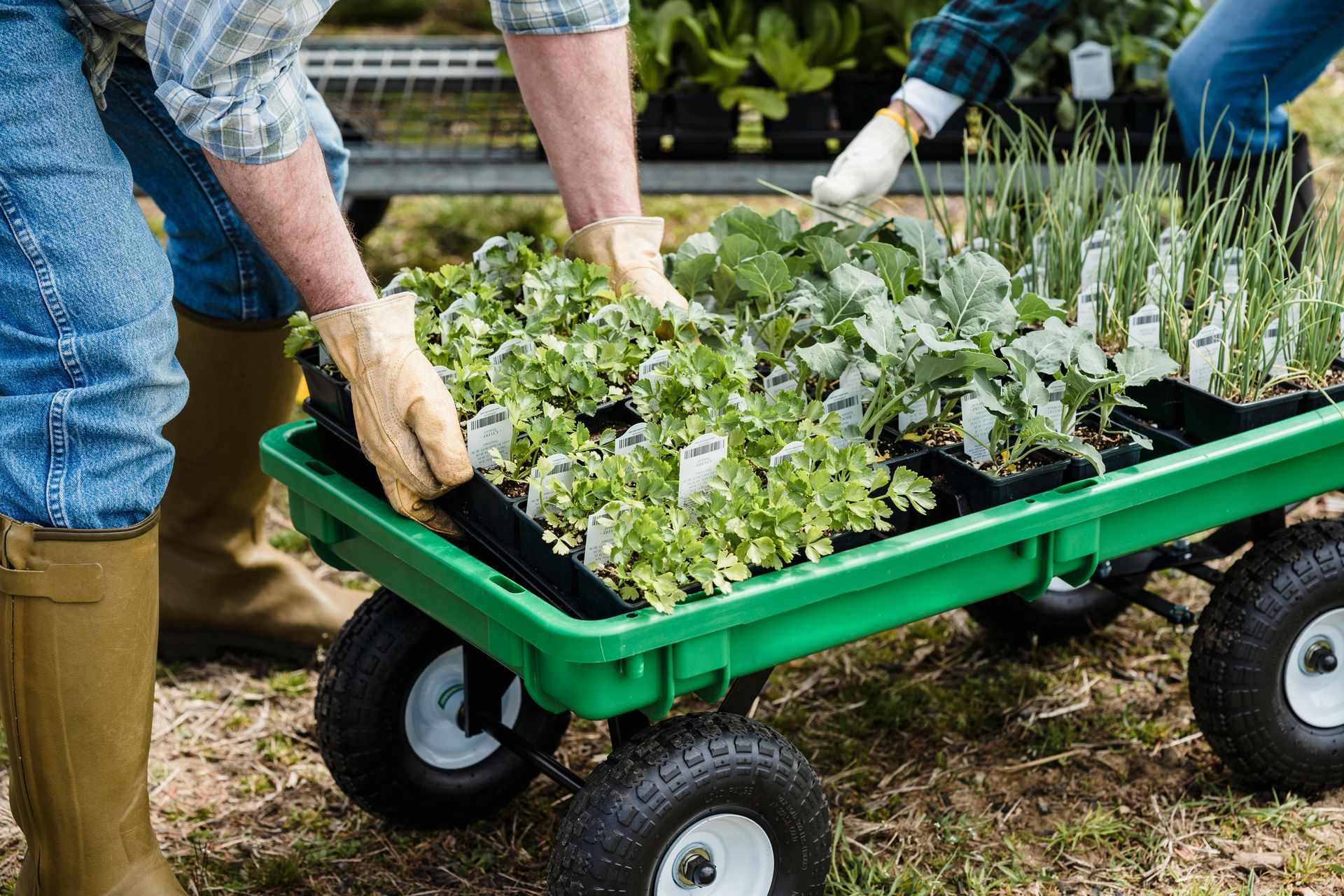 Personas cargando plantas en macetas en un vagón verde, al aire libre.