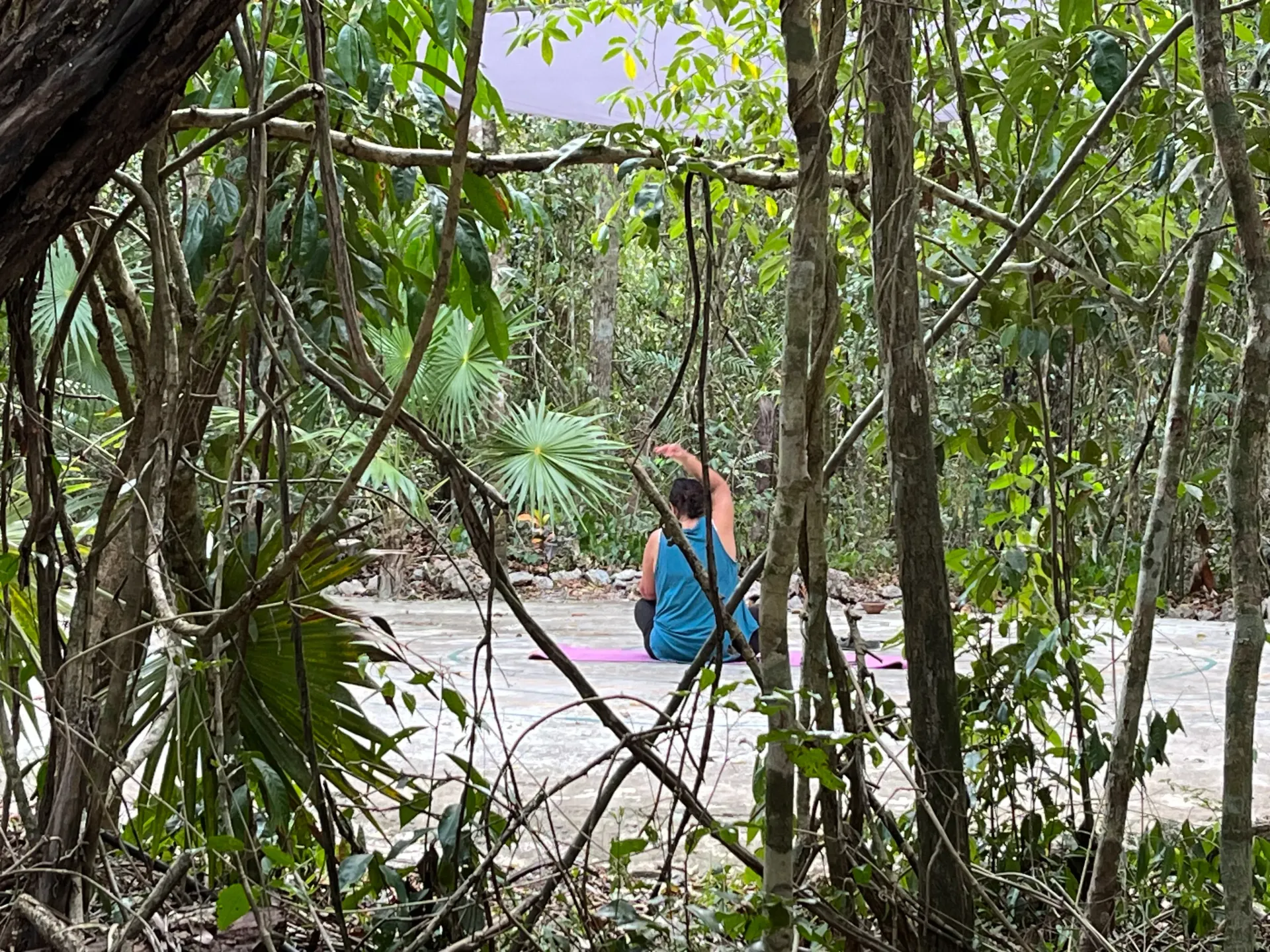 Person on a yoga mat, stretching arm up, in a natural setting.