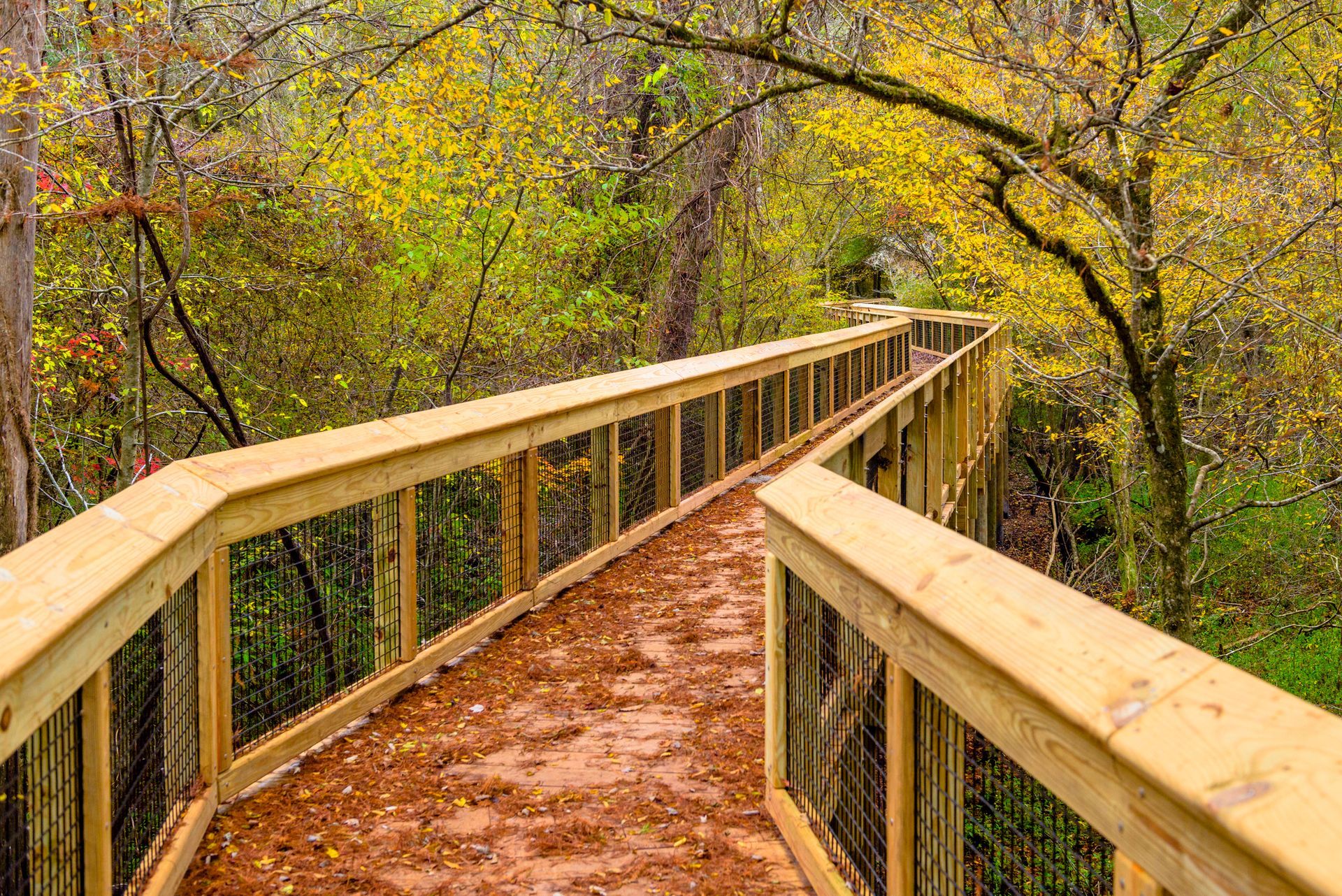 Autumn wooden bridge in the National Park, Florida USA.