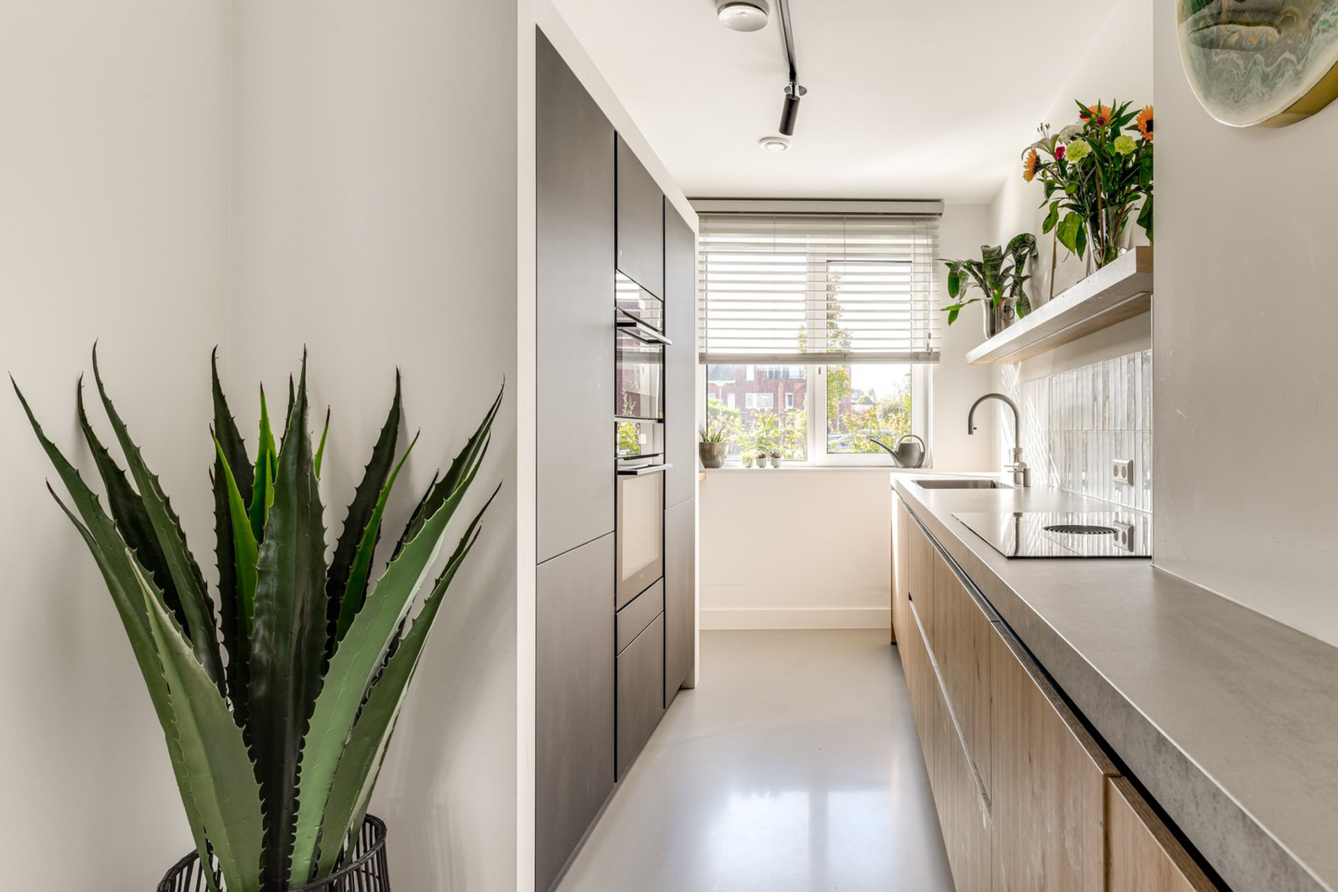Een keuken met een potplant in de hoek.
