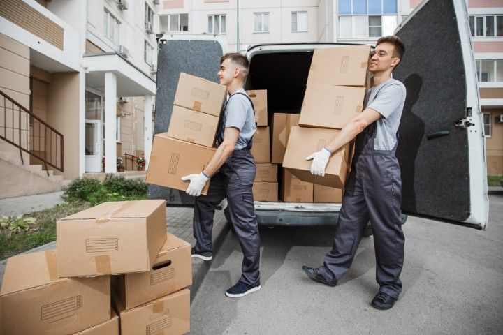 Two movers in overalls carrying cardboard boxes from a van parked outside a building.