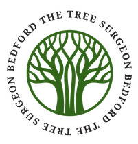 The Tree Surgeon Bedford logo