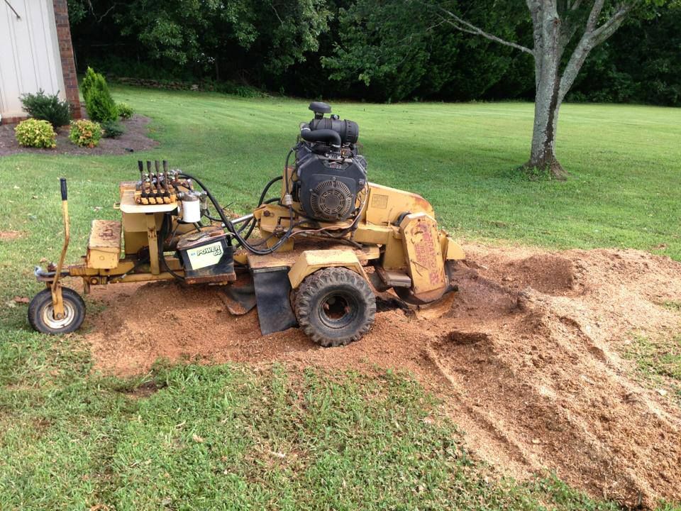 Stump Grinding Bedford