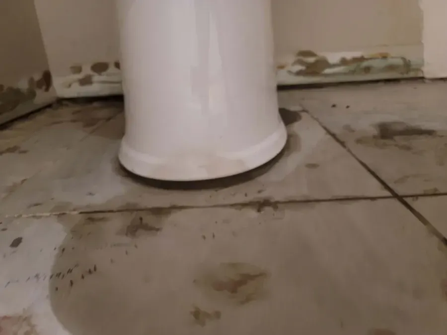 White toilet base on dirty, tiled floor, with stains along the baseboards.