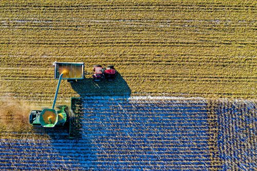 A combine harvester unloads harvested corn into a tractor-pulled trailer in a field, viewed from directly above.