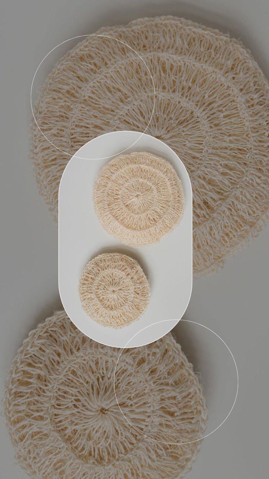 Oval white shape with two circular objects, surrounded by multiple large, circular, netted structures.