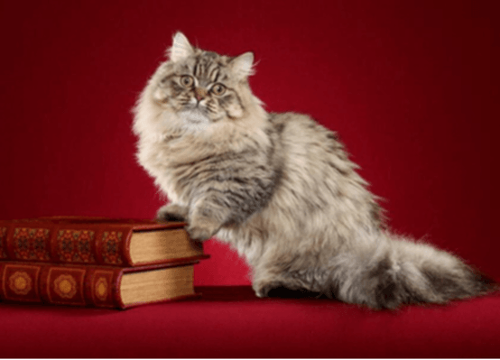 CREATORS LEGENDARY LOUIE OF GREAT MEWS