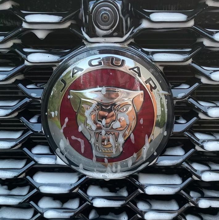 Close-up of Jaguar grille polished to a mirror finish after professional detailing service.