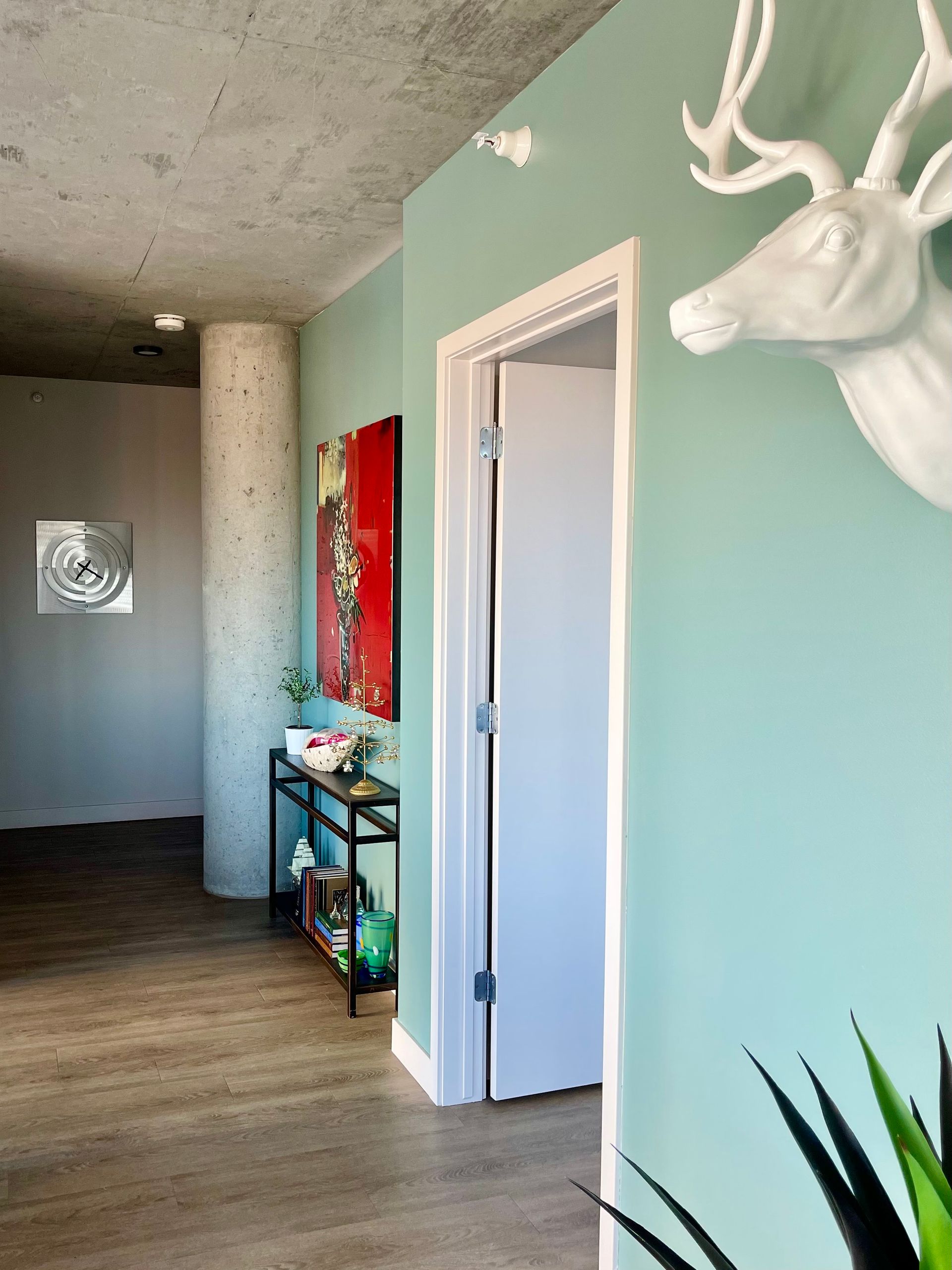 A room with a deer head on the wall