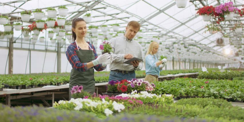 Parceria com Produtores