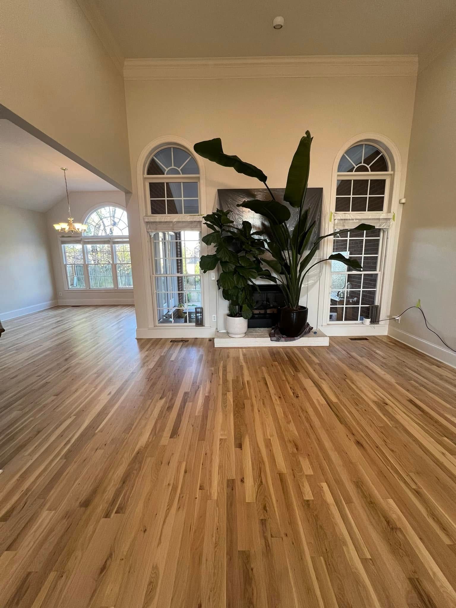 Hardwood floor in front of a white fireplace with tall windows and a large plant.