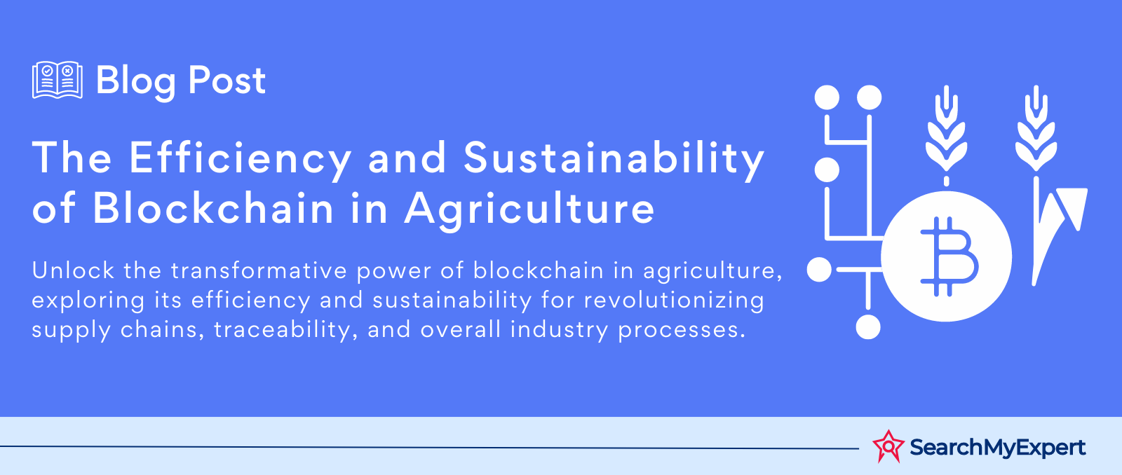 The Efficiency and Sustainability of Blockchain in Agriculture