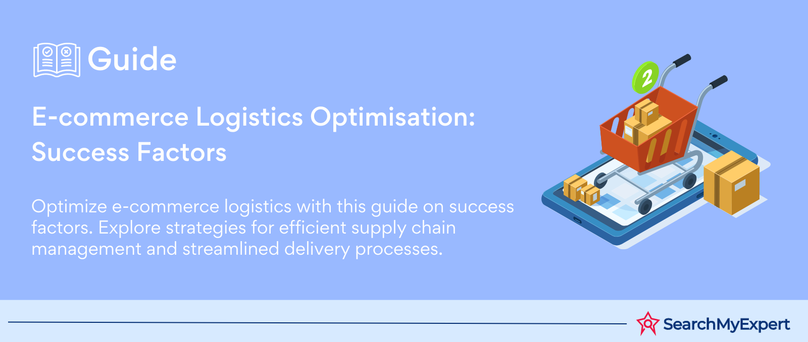 E-commerce Logistics Optimisation: Success Factors 
