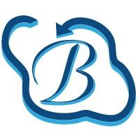 Logo of Bhavitra Technologies