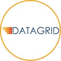 Logo of Datagrid Solutions