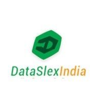 Logo of Dataslex