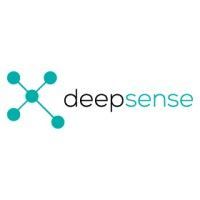 Logo of Deepsense Digital Solutions