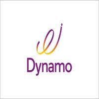 Logo of Dynamo Info Technologies