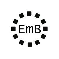 Logo of Embright Infotech