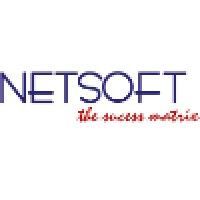 Logo of Netsoft Consulting