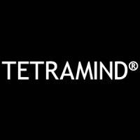 Logo of Tetramind Strategic Consultants