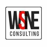 Logo of Wsne Consulting