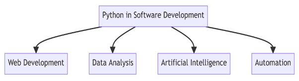 Python Software Development