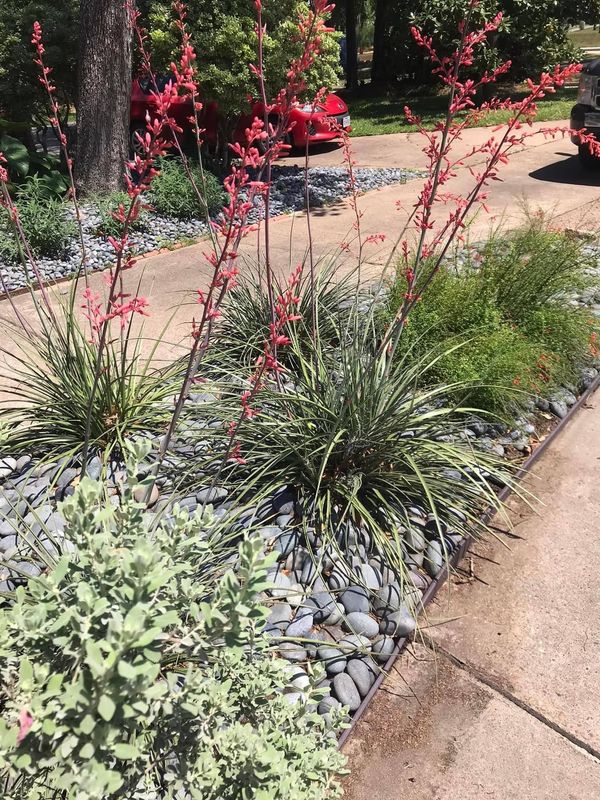 A red car is parked in a driveway next to a garden with flowers and rocks.