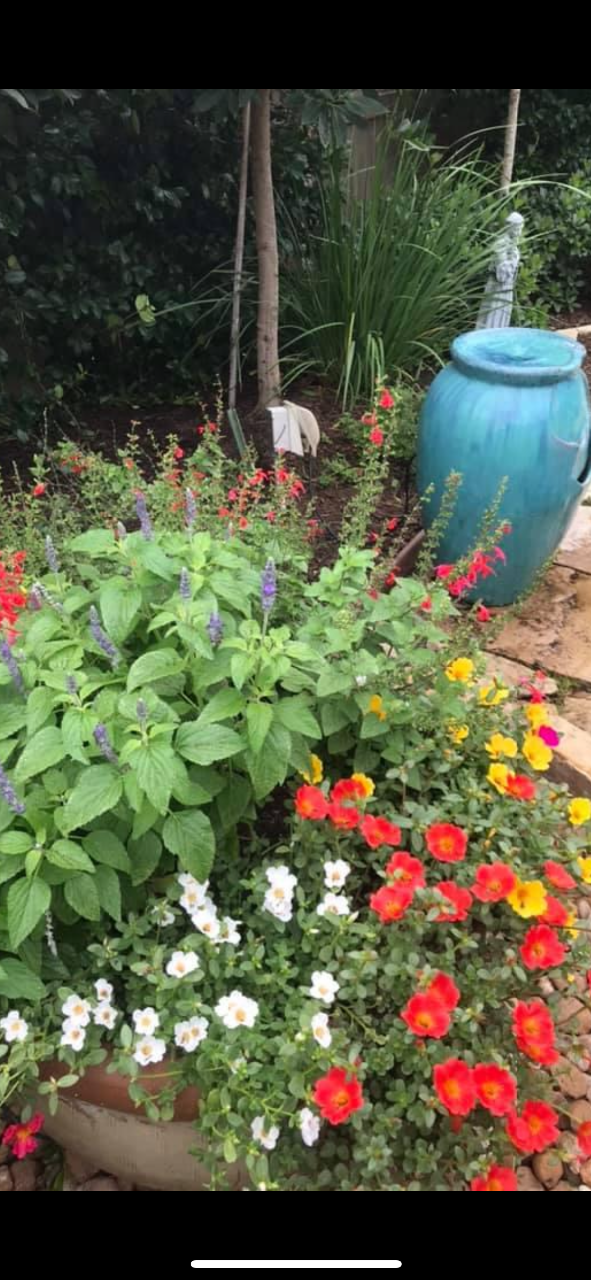 Red Flowers — Richmond, TX — Organoscapes