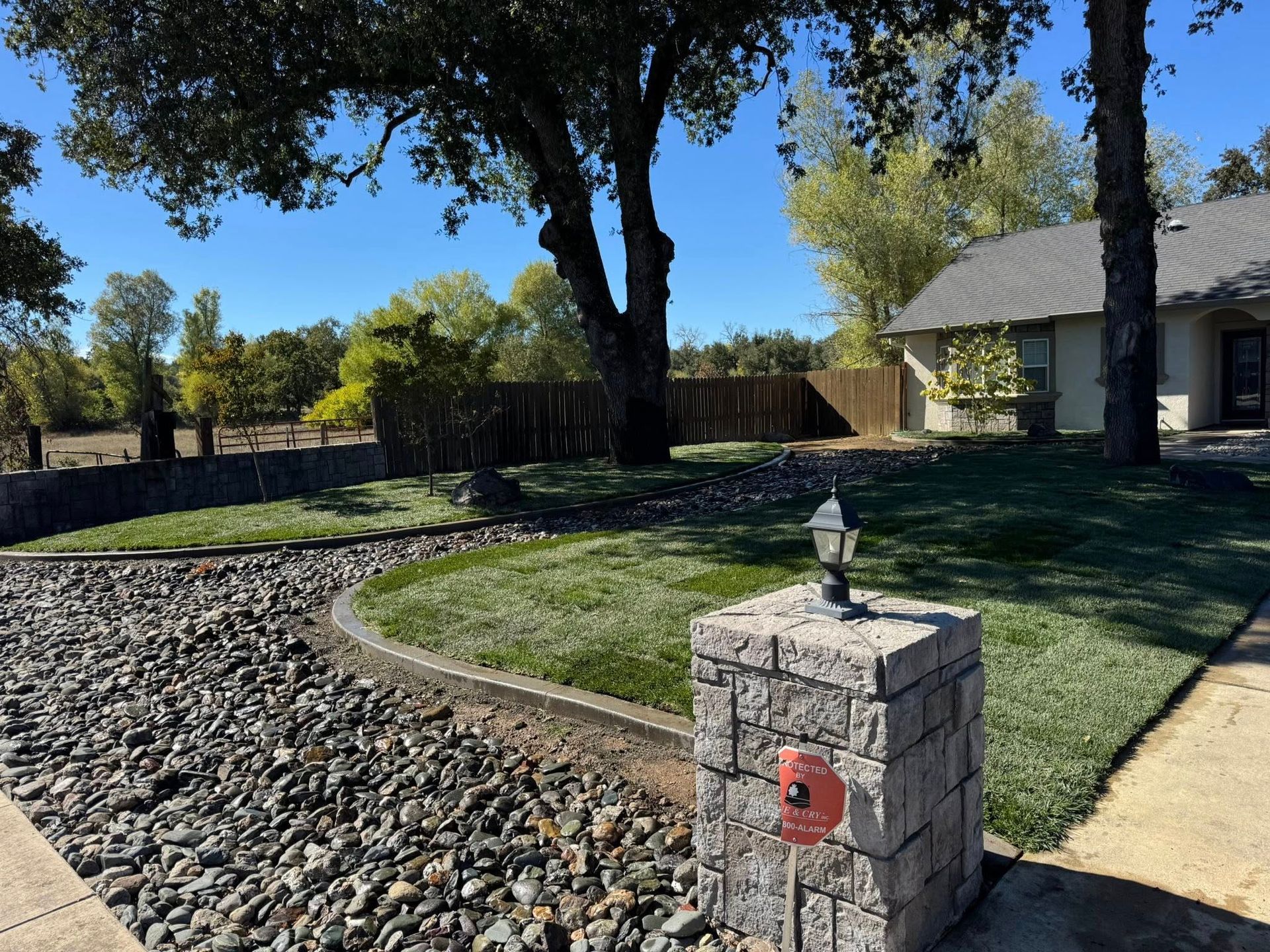 Gravel driveway and green lawn with a tree and a house on a sunny day.