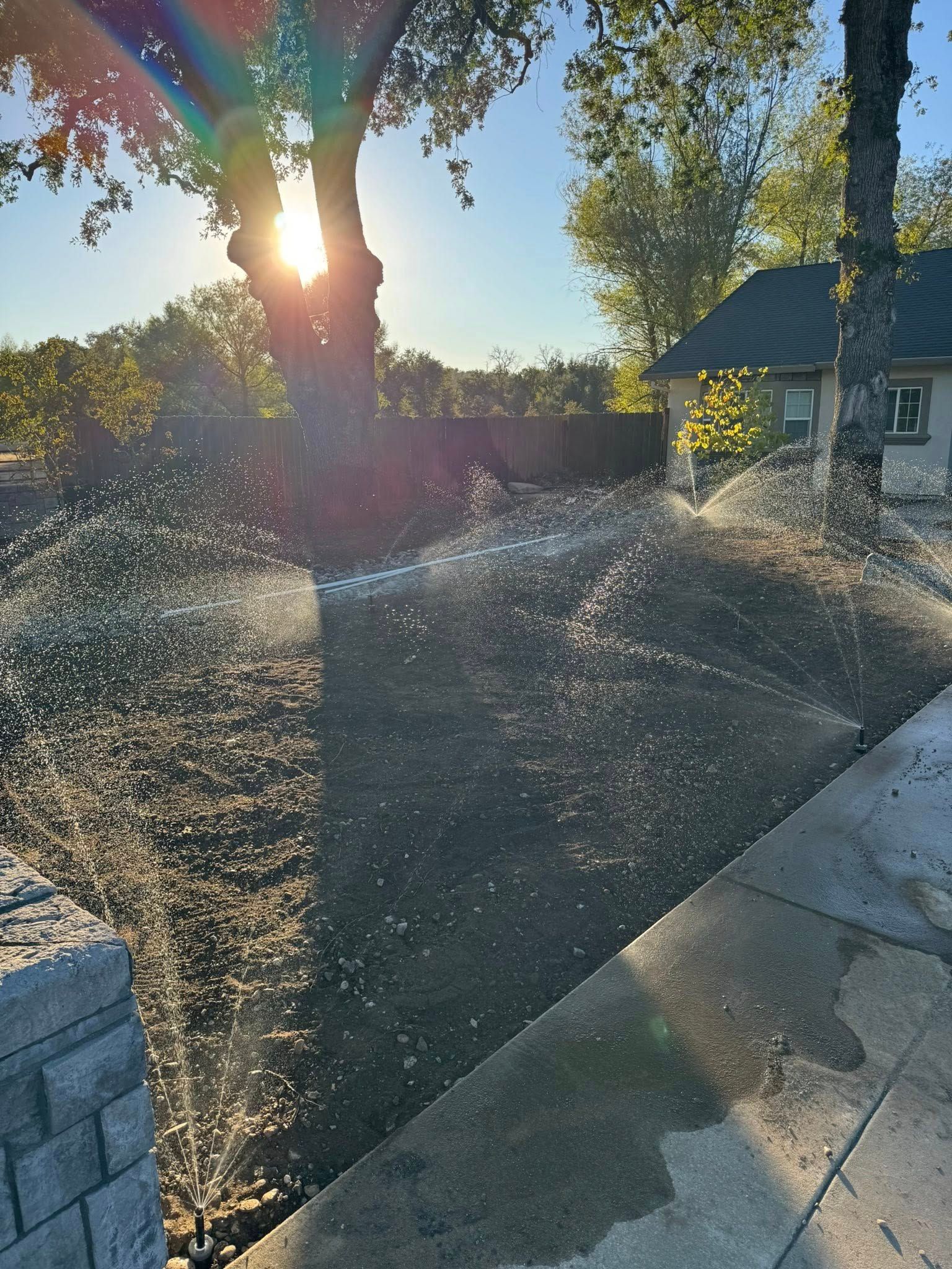 Sprinklers watering a lawn with a sunlit background and a house to the right.