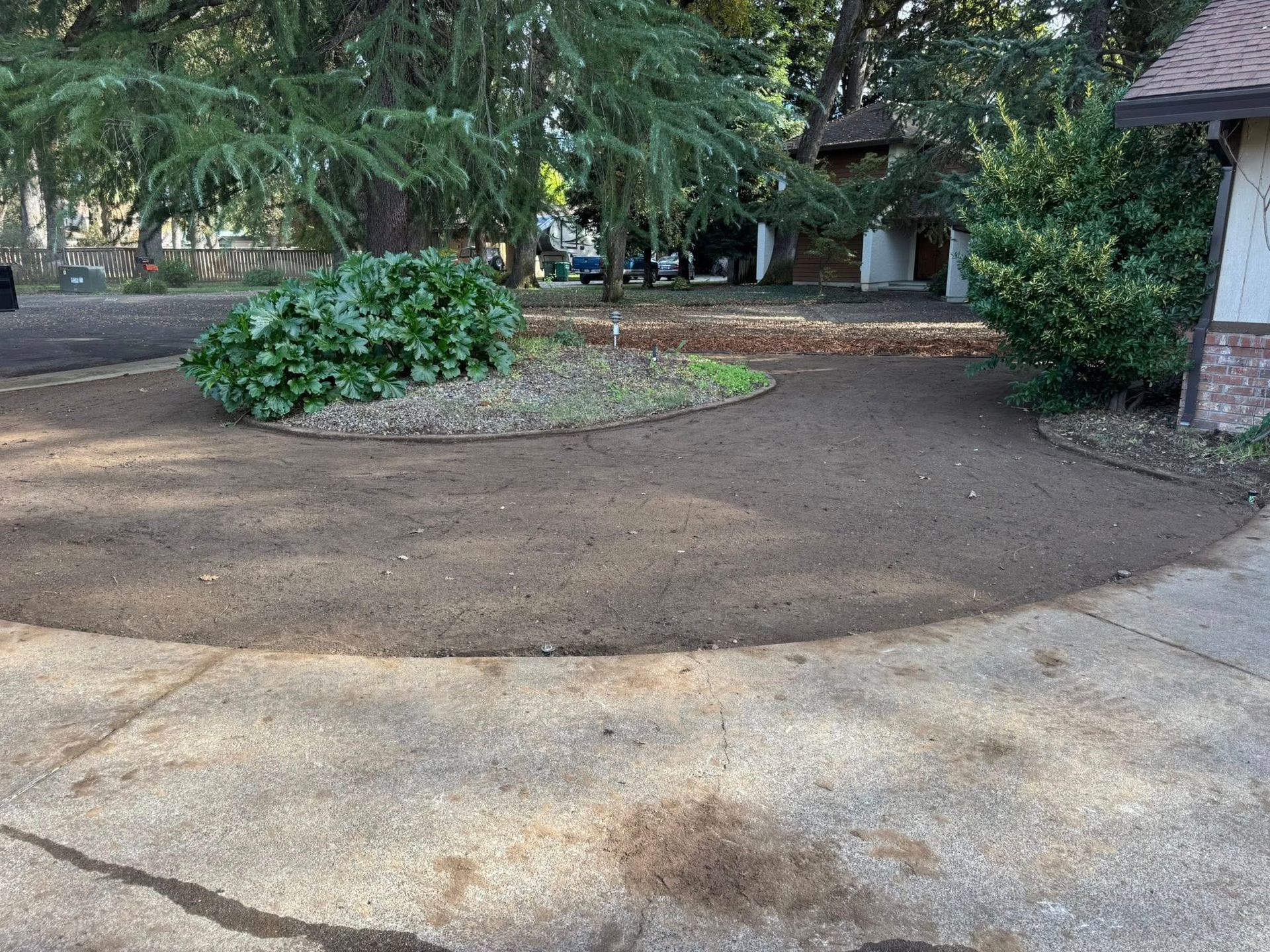 Driveway with newly laid soil, with a small bush and trees in the background.