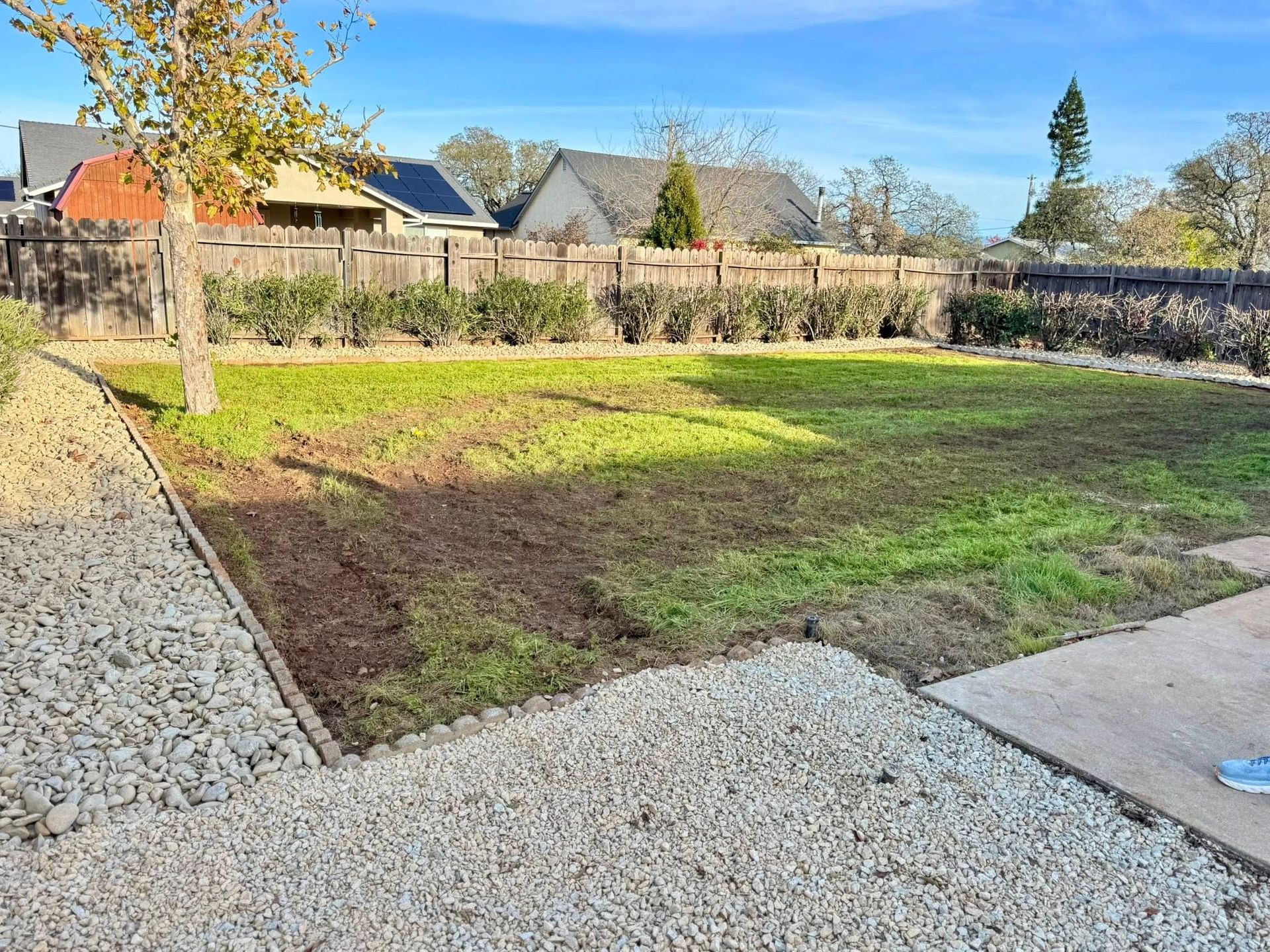 A backyard with patchy grass, a gravel border, and a wooden fence under a clear sky.