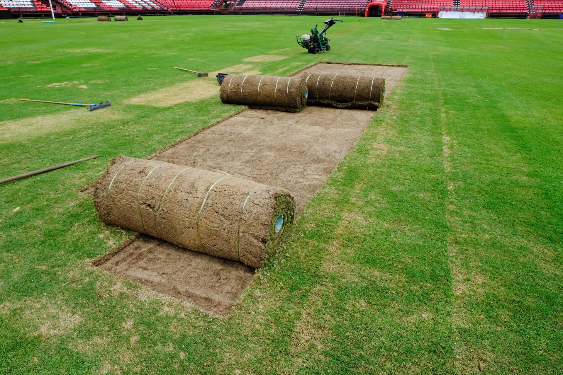 Brick patio under construction, surrounded by dirt and trees, with wet, dark pavers.