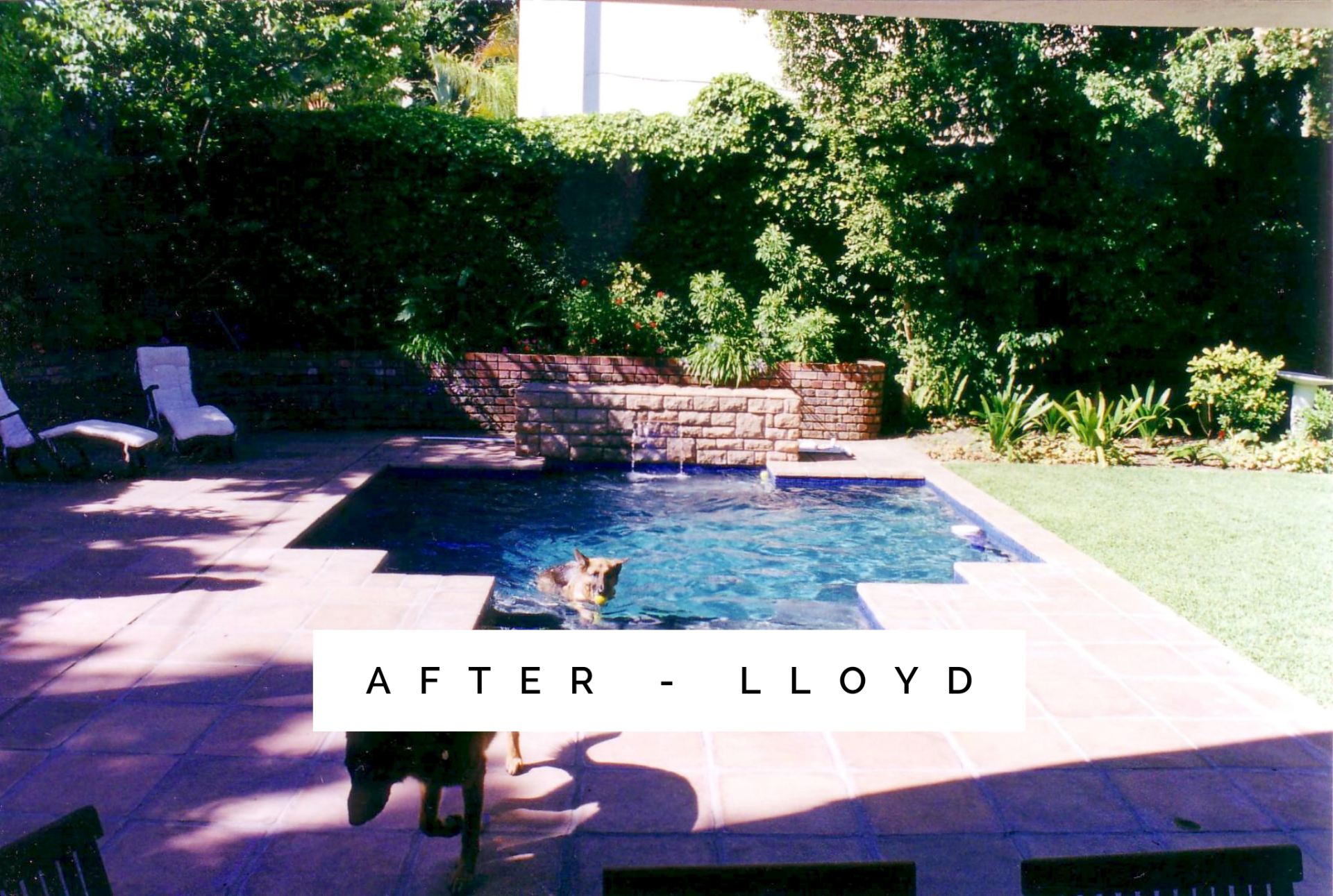 designer pools cape town