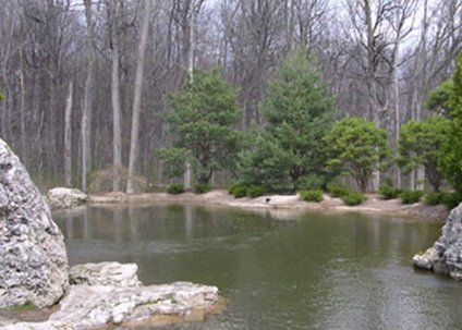 Professional Pond Management — Residential Pond in Troy, MI