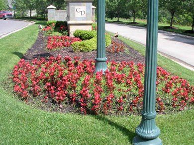 Commercial Landscape Contractor  — Commercial Landscape with Red Flowers  in Troy, MI