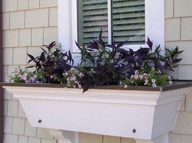 Commercial Landscape Design  — Decorative Landscape by the Window in Troy, MI