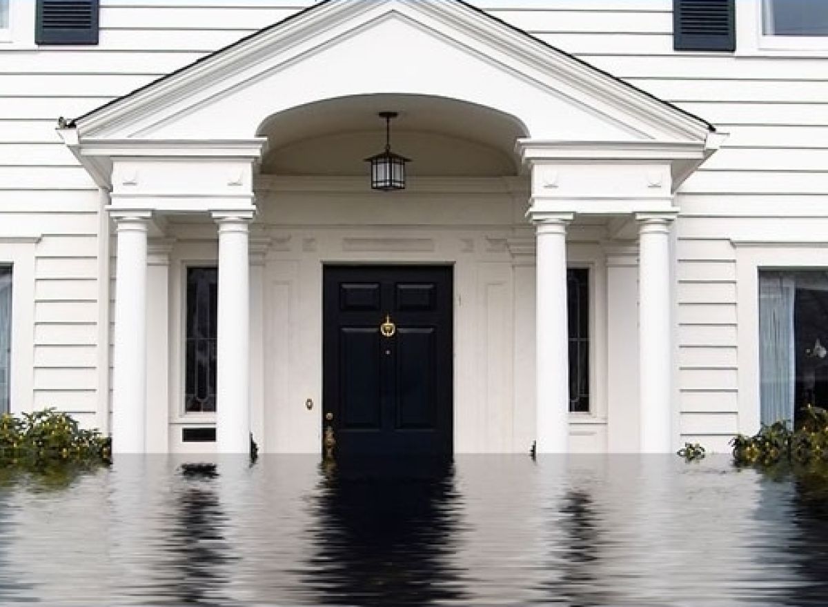 White house entrance flooded, dark door, white pillars.