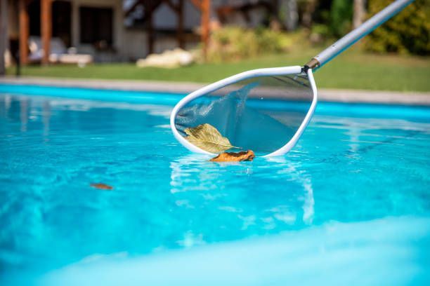Pool skimmer net lifting a leaf from a bright blue swimming pool